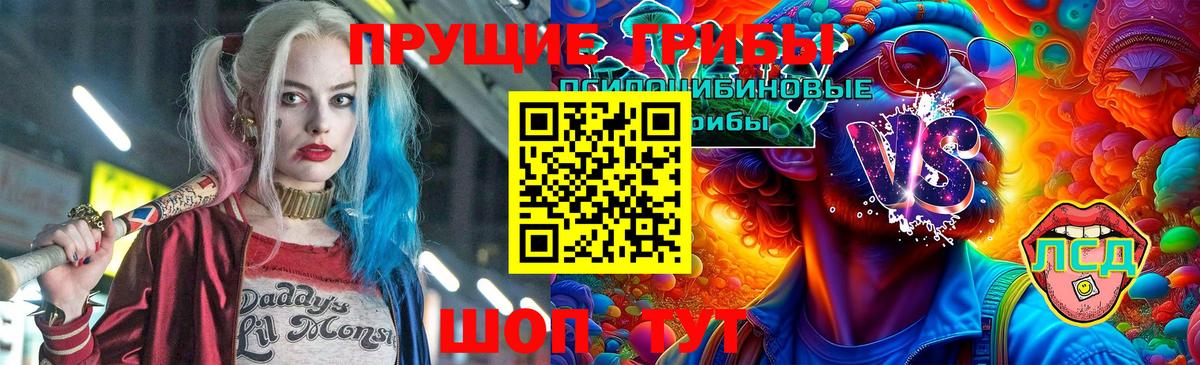 Псилоцибиновые грибы GOLDEN TEACHER Ростов-на-Дону